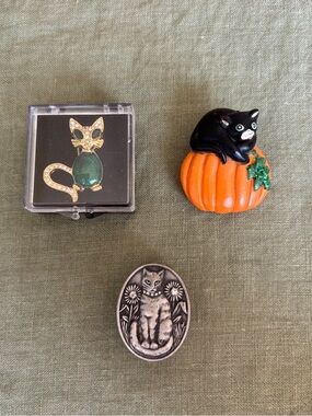 Cat Pins & Tiny Box with Stud Earrings